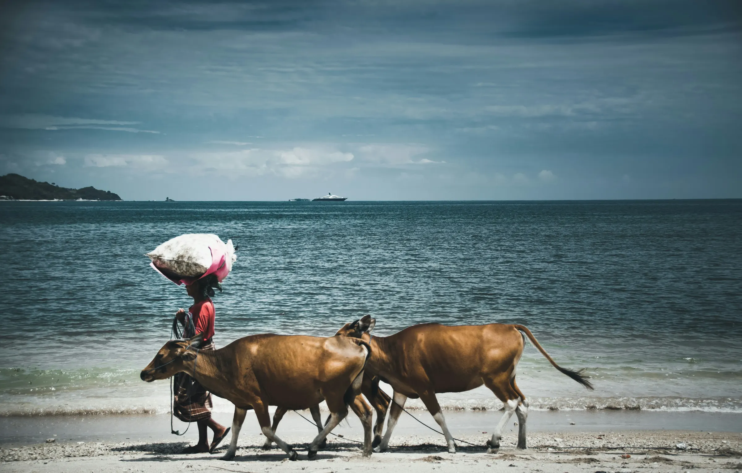 Lombok Experience