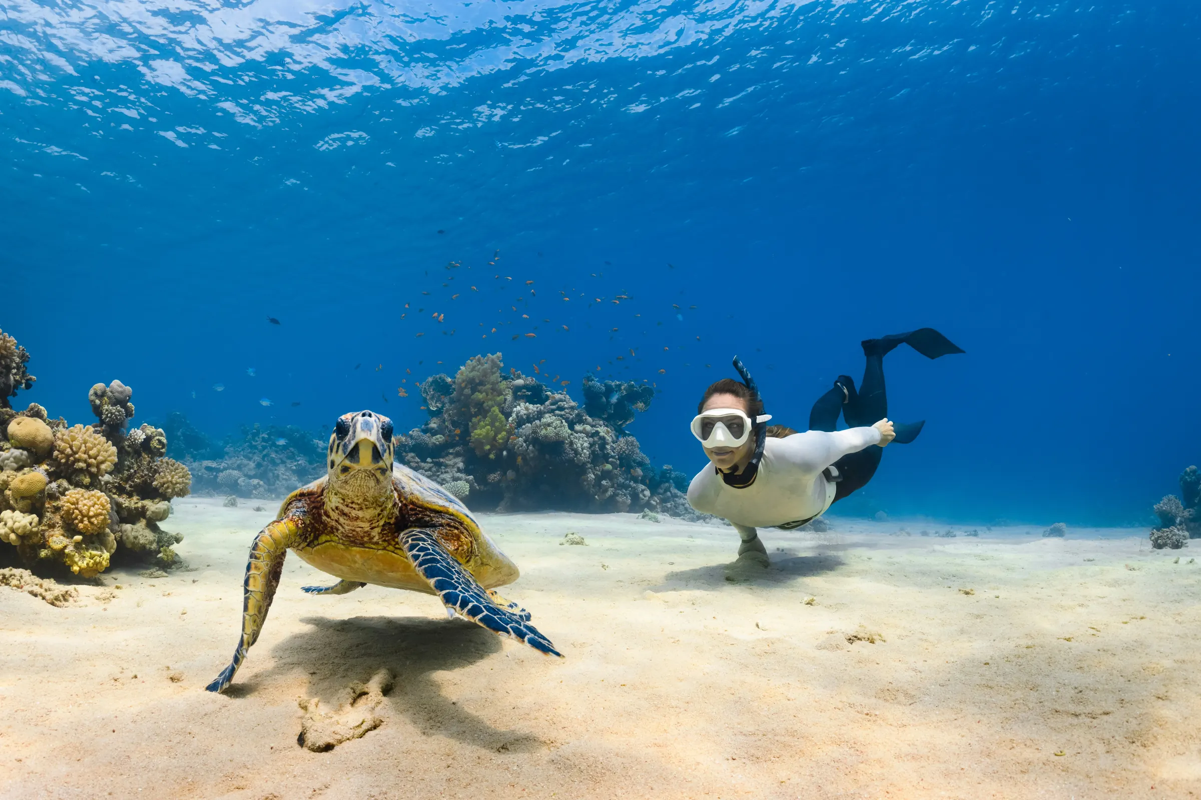 Lombok Tours